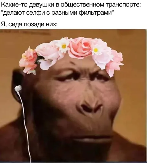 Девушки с фильтрами в транспорте