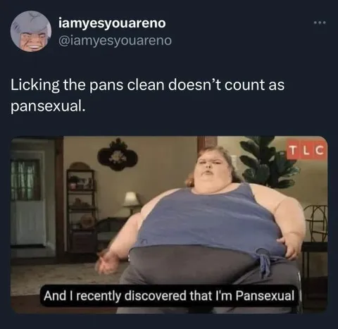 Pansexual Pancake Pun