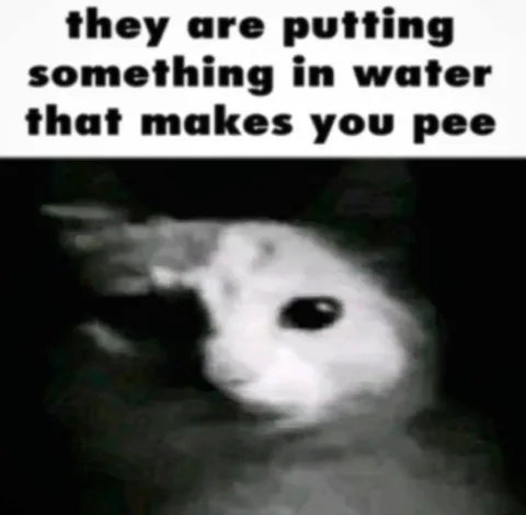 They Are Putting Something in Water