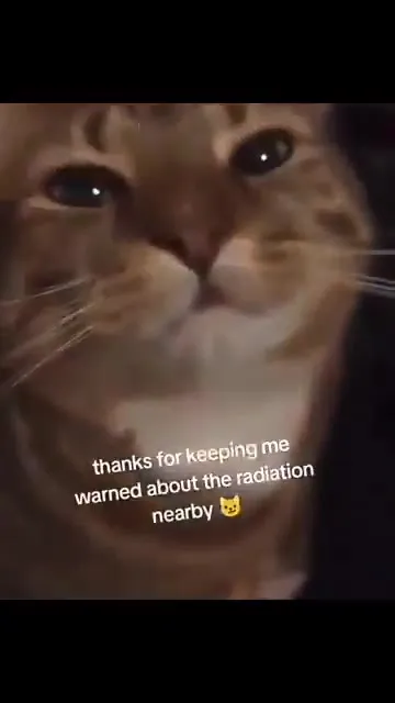 Cat Thanks You for the Radiation Warning