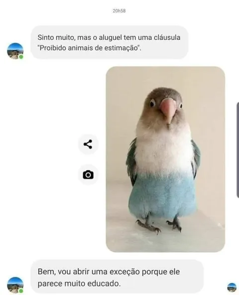 Exceção para o passarinho educado