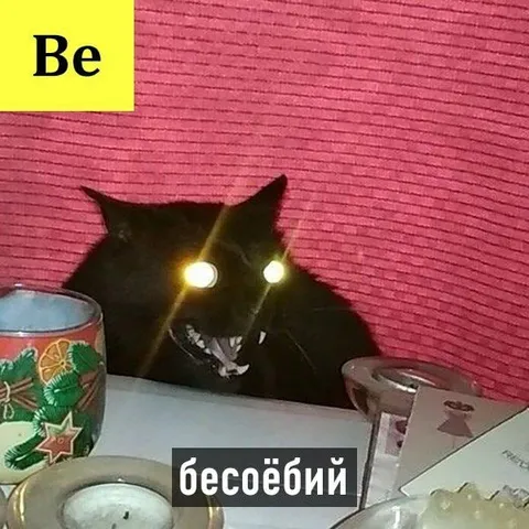 Бесёбый кот с глазами-фарами