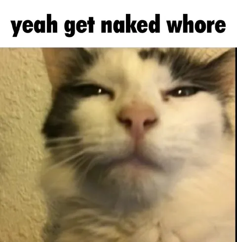 Yeah Get Naked Whore Cat