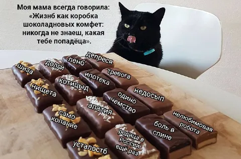 Жизнь как коробка конфет