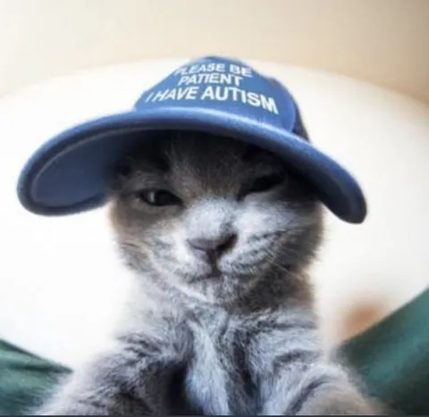 Please Be Patient Cat