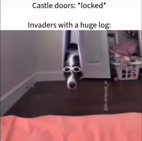 Dog Breaks Through the Castle Door