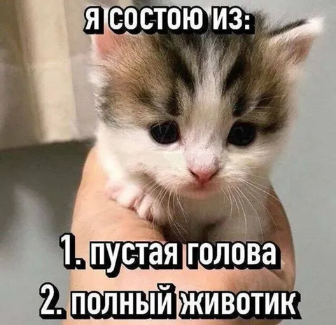 Пустая голова, полный животик