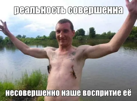 Совершенная реальность и восприятие