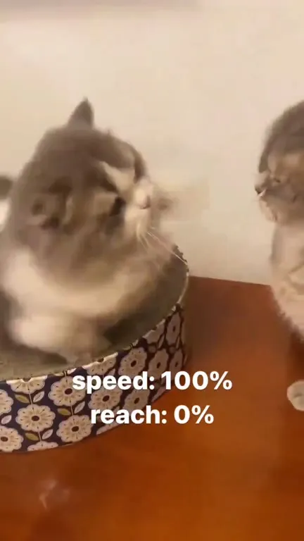 Speed 100%, Reach 0%