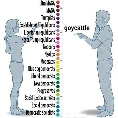 Political Spectrum Reaction Chart