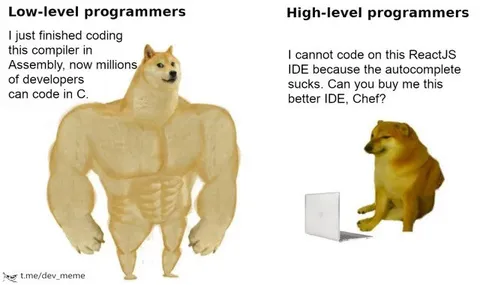Low-Level vs High-Level Programmers