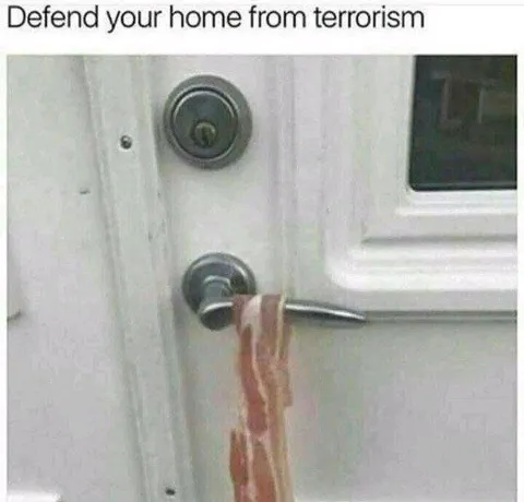 Bacon Defends the Home