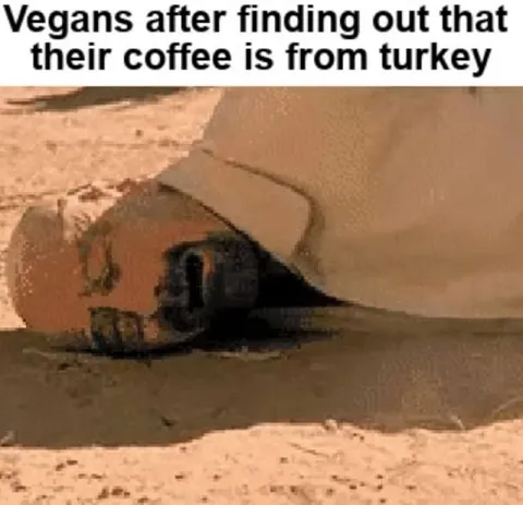 Vegans Discover Turkey Coffee