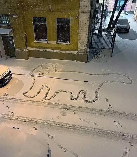 Змея на заснеженной улице
