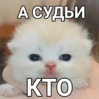 А судьи кто