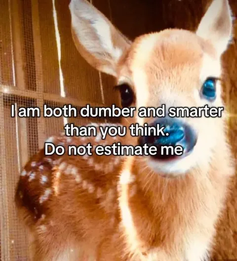 Dumber and Smarter Than You Think