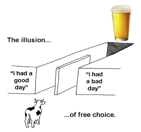 The Illusion of Free Choice