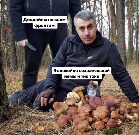 Дедлайны по всем фронтам