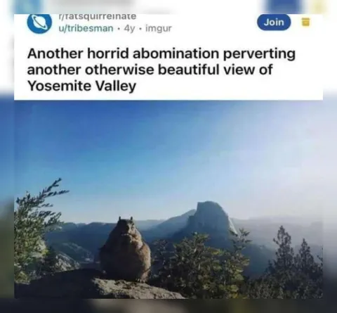 Squirrel Ruins Yosemite View