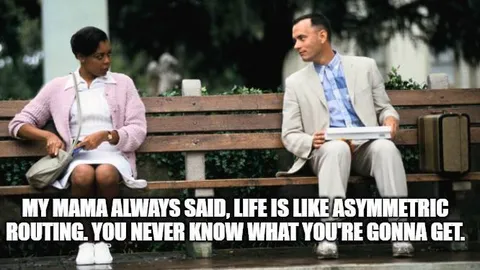 Life Is Like Asymmetric Routing