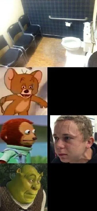 Туалет для любых эмоций