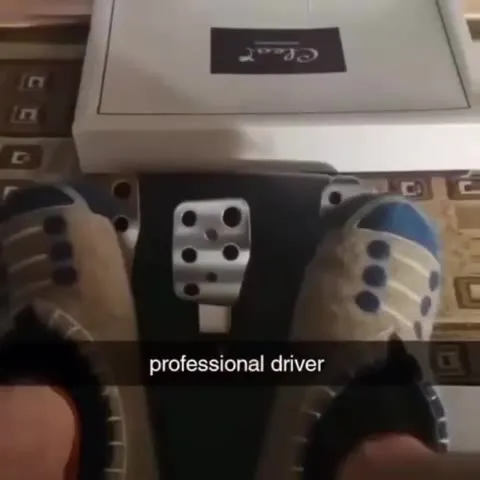Professional Driver at Work