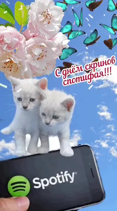 С днём скрипнов спотифая