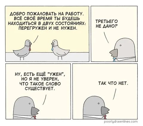 Добро пожаловать на работу