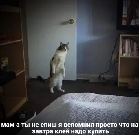 Мам а ты не спишь