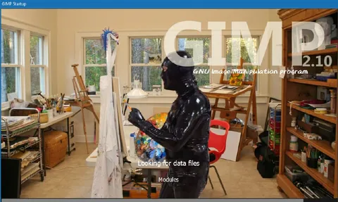 GIMP Looking for Data Files