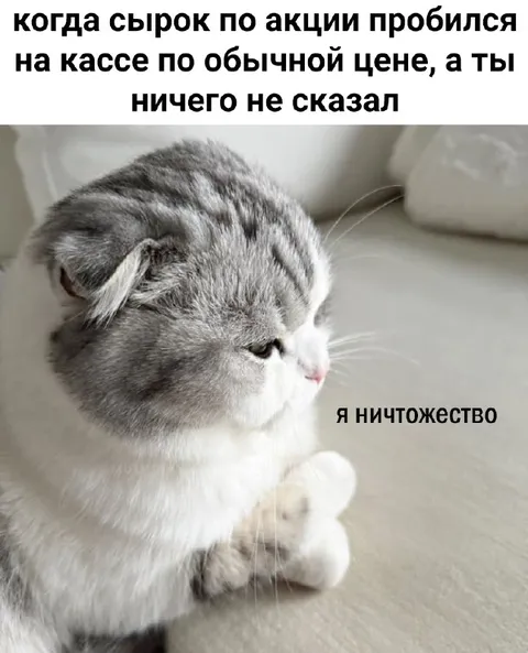 Сырок по обычной цене