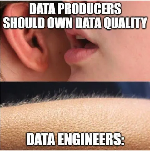 Data Producers Own Data Quality
