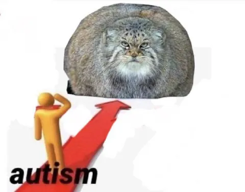 Autism Arrow Cat