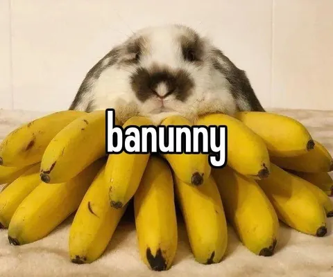 Bunny Surrounded by Bananas