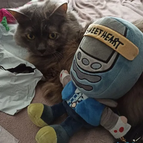 Кот и игрушечный дезертир