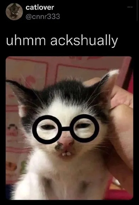 Uhmm Ackshually Cat