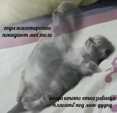 Годы психотерапии покидают тело