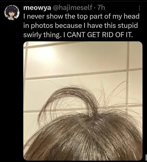 Stupid Swirly Hair Thing