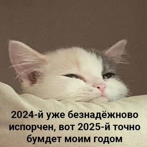 2025 будет моим годом