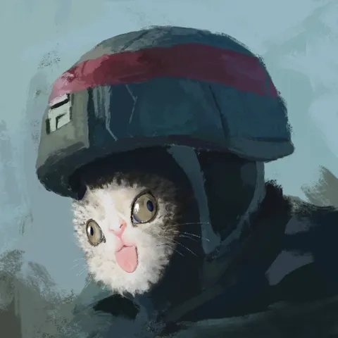 Кот в шлеме удивлён