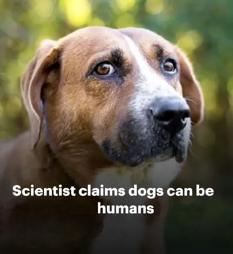 Dogs Can Be Humans