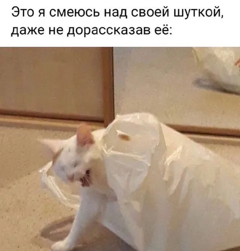 Смеюсь над своей шуткой