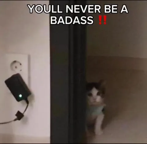 Youll Never Be a Badass Cat