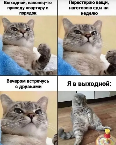 Планы на выходной и реальность