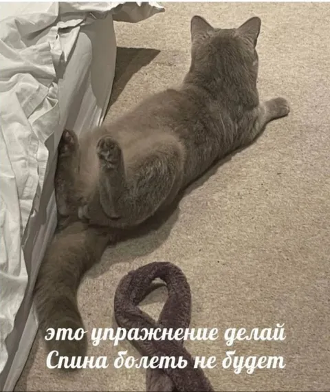 Упражнение для здоровой спины