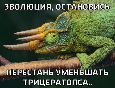 Эволюция уменьшает трицератопса