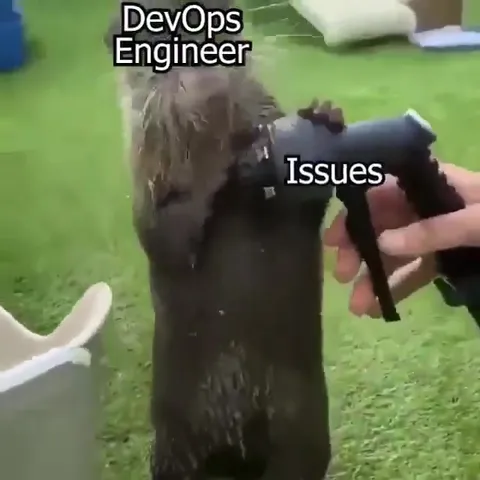 DevOps Engineer vs Issues