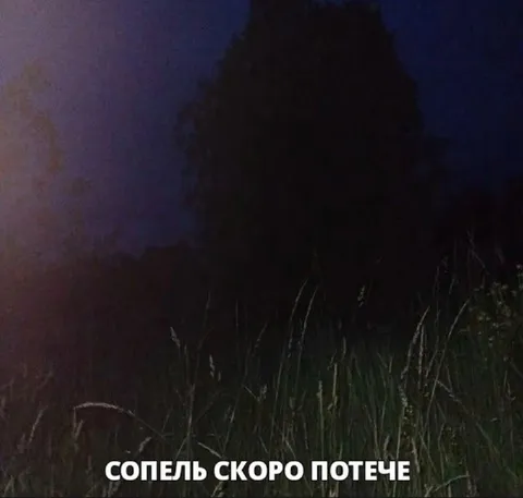 Сопель скоро потече