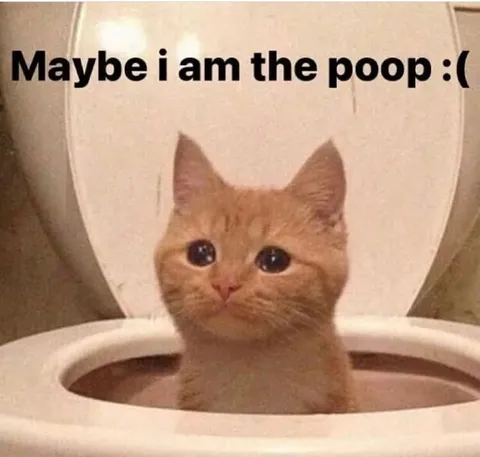 Maybe I Am the Poop