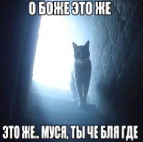 О боже, это же Муся